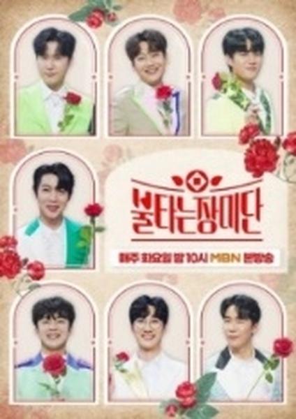 불타는장미단